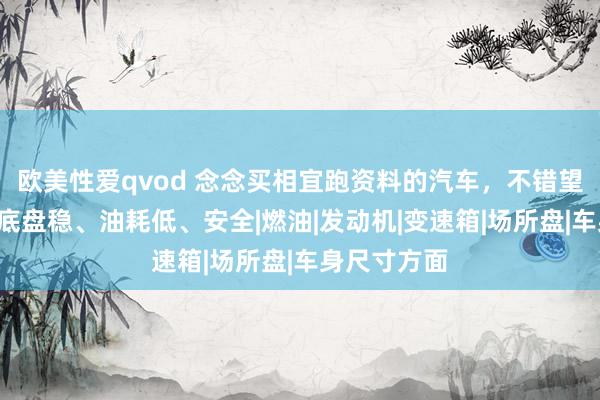 欧美性爱qvod 念念买相宜跑资料的汽车，不错望望这5款，底盘稳、油耗低、安全|燃油|发动机|变速箱|场所盘|车身尺寸方面