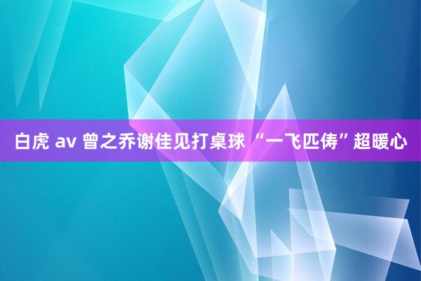 白虎 av 曾之乔谢佳见打桌球 “一飞匹俦”超暖心