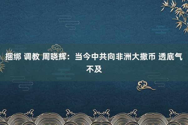 捆绑 调教 周晓辉：当今中共向非洲大撒币 透底气不及