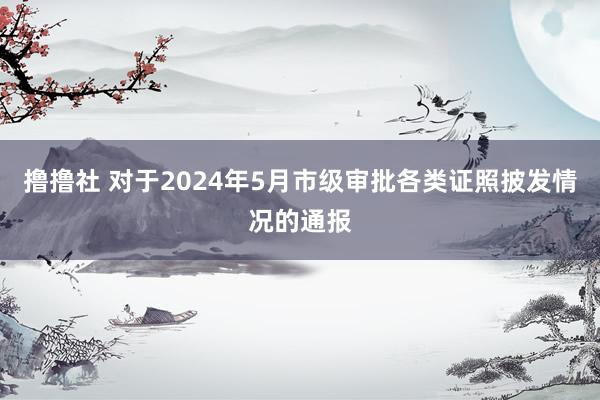 撸撸社 对于2024年5月市级审批各类证照披发情况的通报