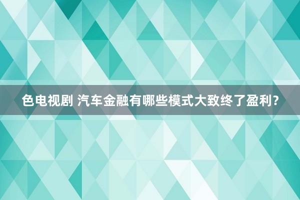 色电视剧 汽车金融有哪些模式大致终了盈利？