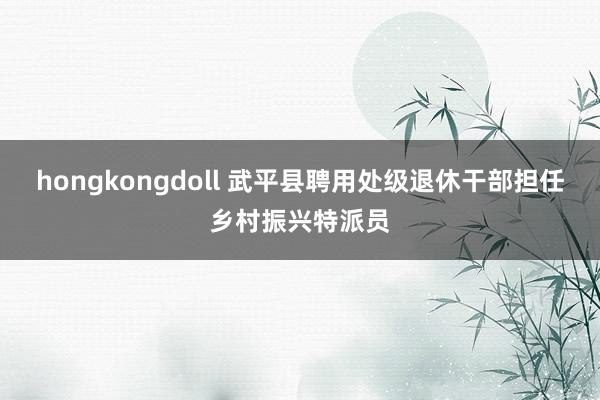 hongkongdoll 武平县聘用处级退休干部担任乡村振兴特派员