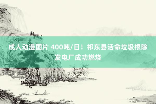 成人动漫图片 400吨/日！祁东县活命垃圾根除发电厂成功燃烧