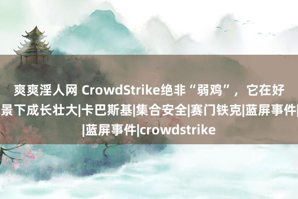 爽爽淫人网 CrowdStrike绝非“弱鸡”，它在好意思国反华布景下成长壮大|卡巴斯基|集合安全|赛门铁克|蓝屏事件|crowdstrike