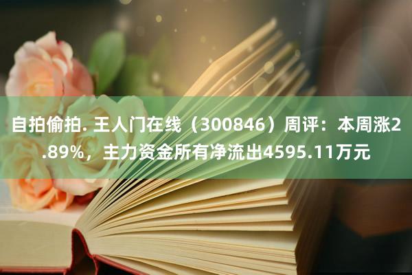 自拍偷拍. 王人门在线（300846）周评：本周涨2.89%，主力资金所有净流出4595.11万元